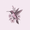 Hearth Home Botanics Favicon
